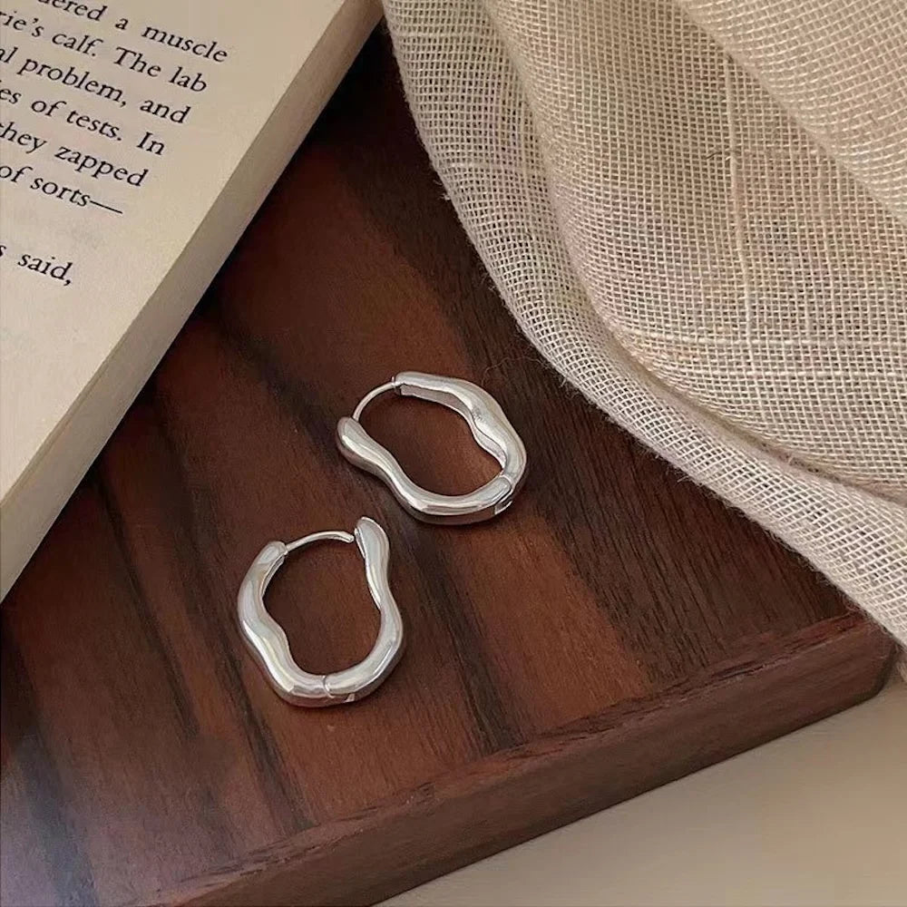 Irregular Geometric Earrings for Women's New Trendy and Personalized Design, Internet Famous Earrings With a Simple Temperament
